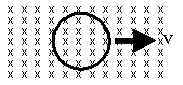 wpe1.jpg (5328 bytes)